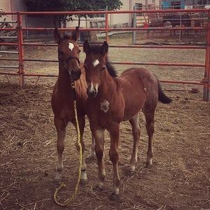 Meet your Posher, Joaquin